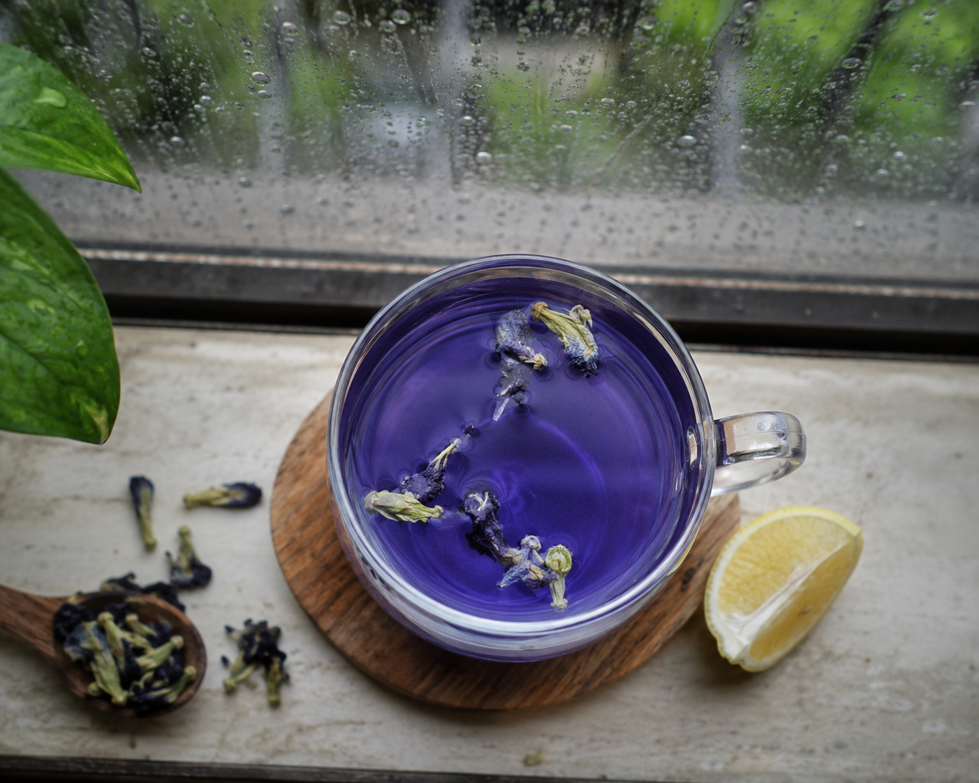 Best detox drink for monsoon in a glass mug with lemon