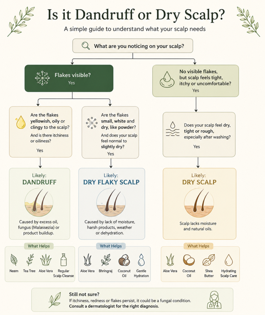 Simple flowchart to help identify dandruff versus dry scalp symptoms